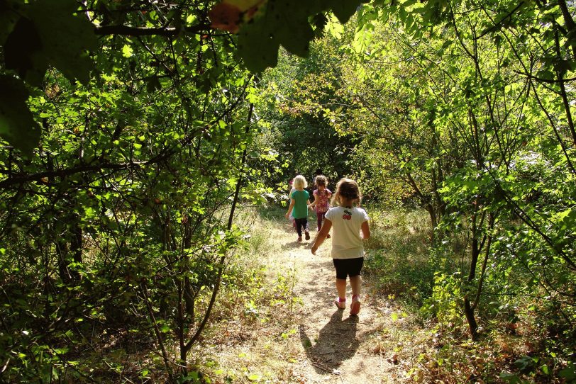 Wildnis für Kinder in Herne.