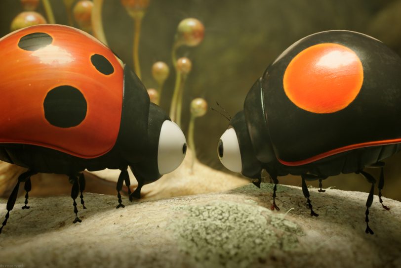 Die Winzlinge: Kleiner Unterschied mit großer Bedeutung.