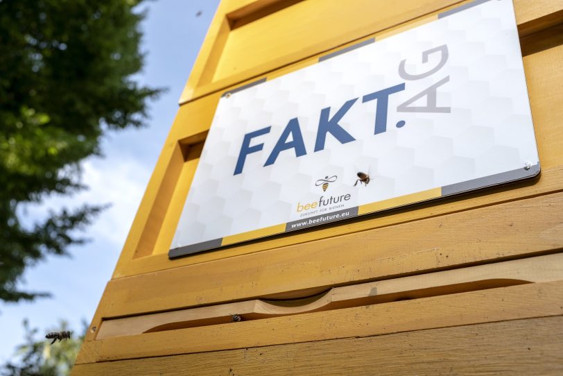 Bienenstock im Shamrockpark.