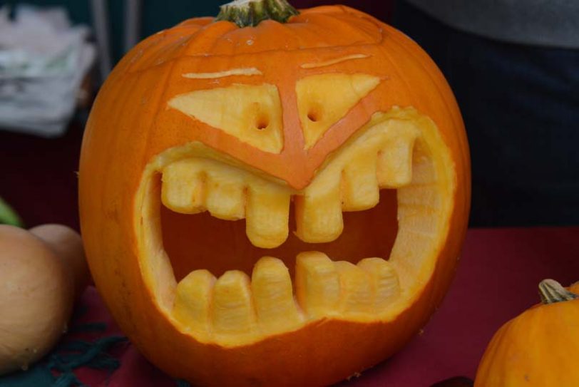 Der Tierpark Bochum lädt zur Halloweenparty (Symbolbild).