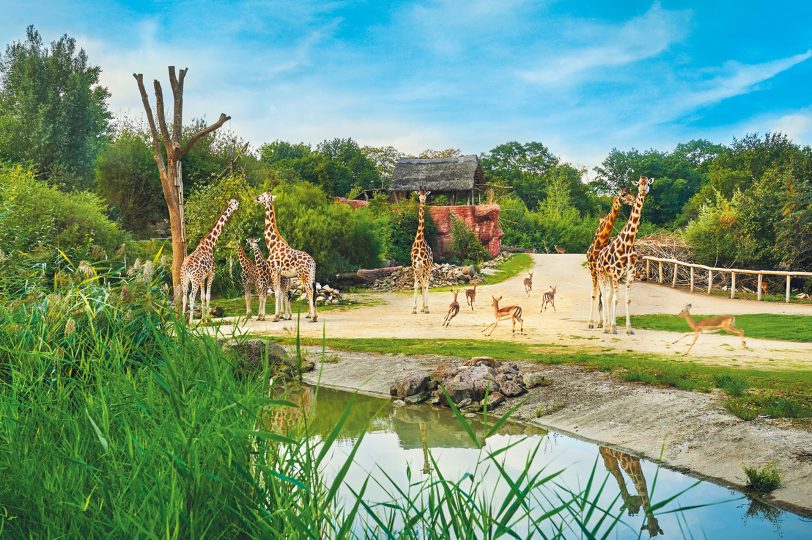 ZOOM Erlebniswelt erhält Parkscout Plus Award.