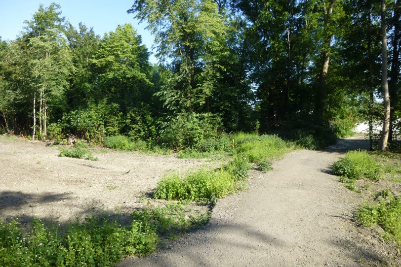 Wegeverbindung am Uhlenbruch.
