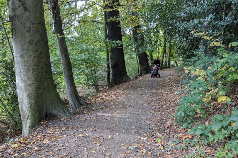 Herbstlicher Spaziergang im Gysenberg-Wald. Einzelne Jogger, Spaziergänger mit und ohne Hund, mit Pferd oder Kinderwagen genießen im Oktober 2024 eine kleine Auszeit vom hektischen Alltag.