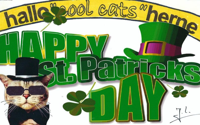 Zum St. Patricks Day - die Cool Cats ganz in Gün.