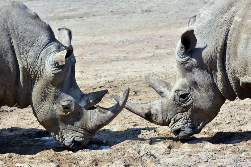 Tierwelt in der Zoom Erlebnis-Welt.