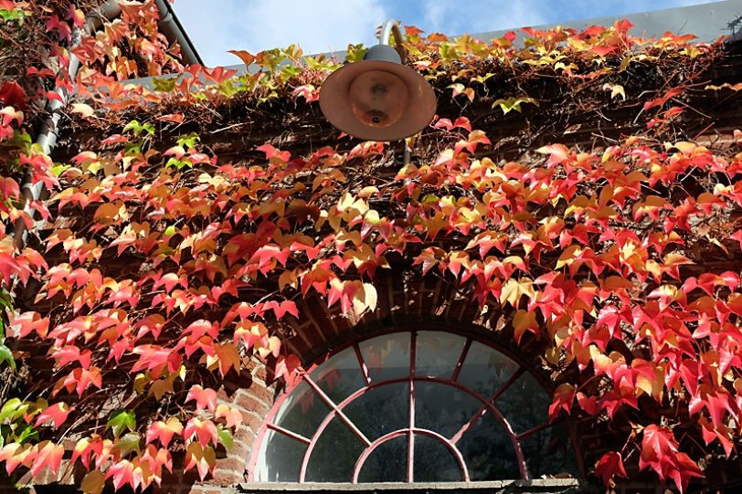 Herbstbasar im EvK Mitte.