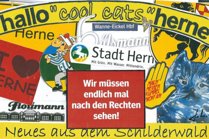 Auch die cool cats wollen nach den Rechten sehen.