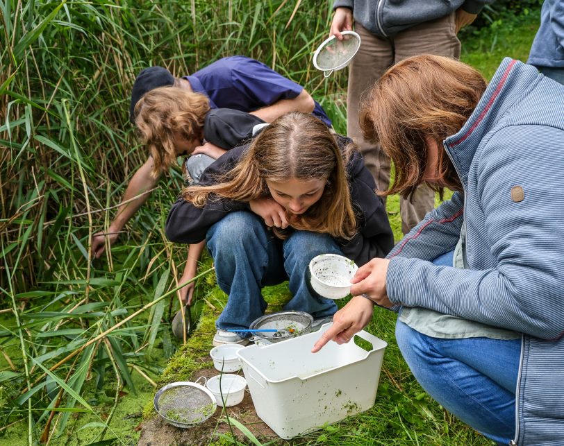 Schüler können bei der Exkursion den Naturraum am Gewässer selbst erforschen – dabei führen sie eigene Gewässeruntersuchungen vor Ort durch und bestimmen Pflanzen und Kleintiere.