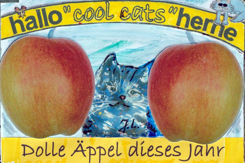 Die Cool Cats finden: