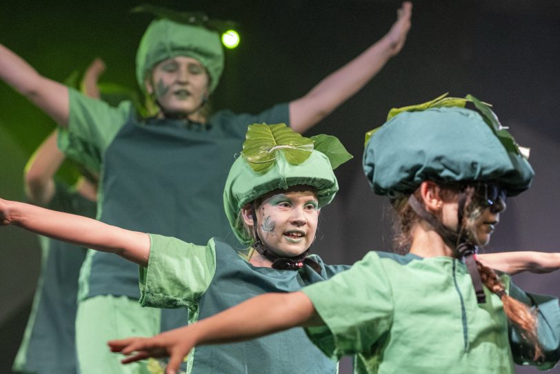 „Kuriosum“: Öffentliche Generalprobe beim Familiencircus Schnick-Schnack in Herne (NW), am Sonntag (16.06.2019).