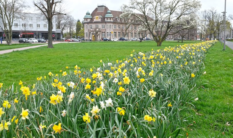 Der Frühling ist in Wanne-Eickel angekommen.