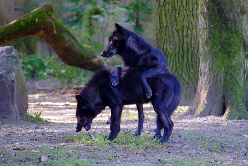 Tierwelt in der Zoom Erlebnis-Welt.