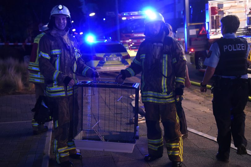 Dachstuhlbrand an der Jobststraße.