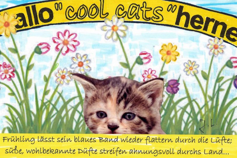 Die cool cats freuen sich über den Frühlingsanfang.