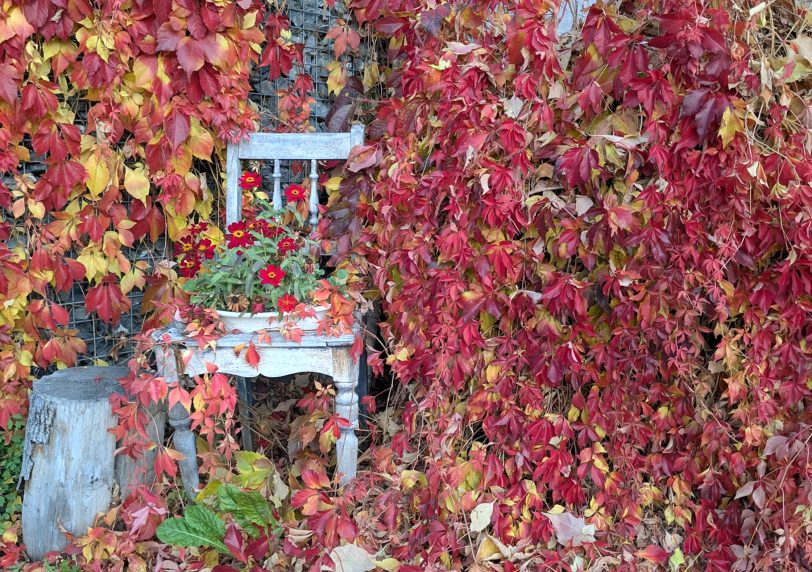 Herbstliche Sitzgelegenheit.