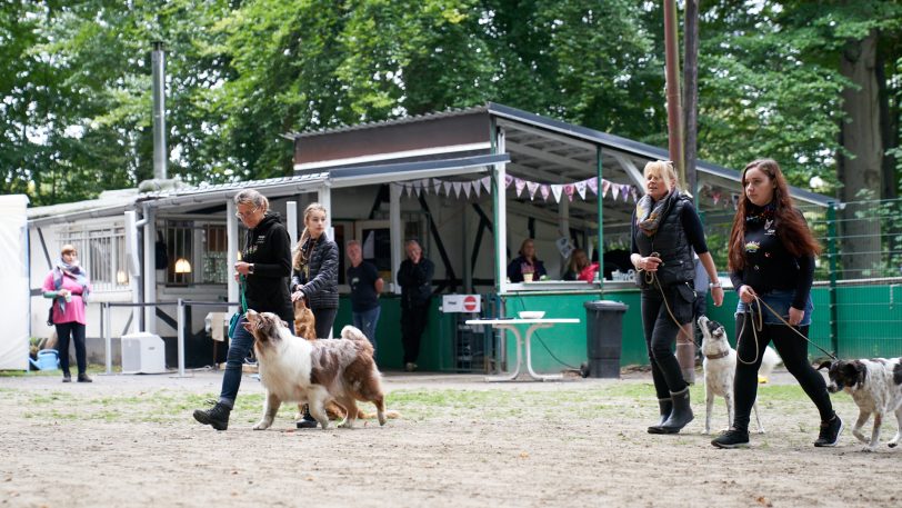 Beim Jubiläum der Bunten Hunde konnten die Vierbeiner und ihre Besitzer ihr Können zeigen.