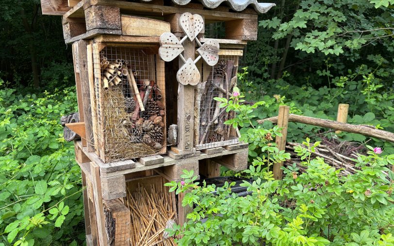 Das Insektenhotel, welches insbesondere für Bienen und deren Honig gedacht ist.