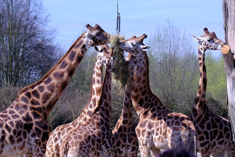 Tierwelt in der Zoom Erlebnis-Welt.