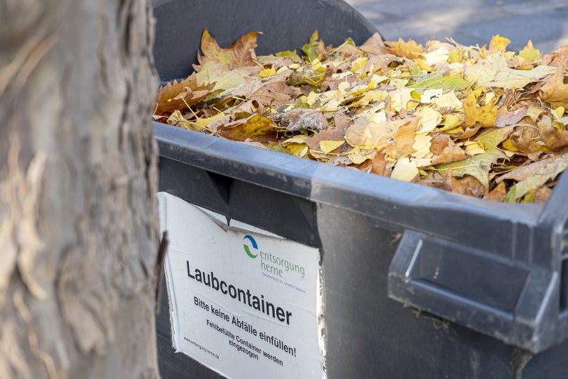 Die Laubcontainer stehen wieder bereit (Archivbild).