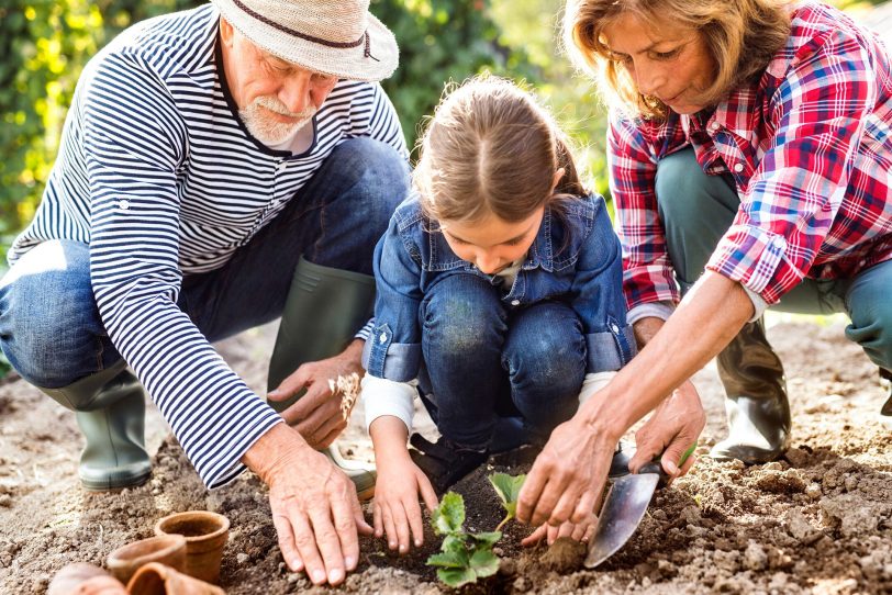 Die Gartensaison startet auch in Herne. Doch bevor gegraben und gepflanzt wird, sollte der Tetanus-Impfschutz überprüft werden.