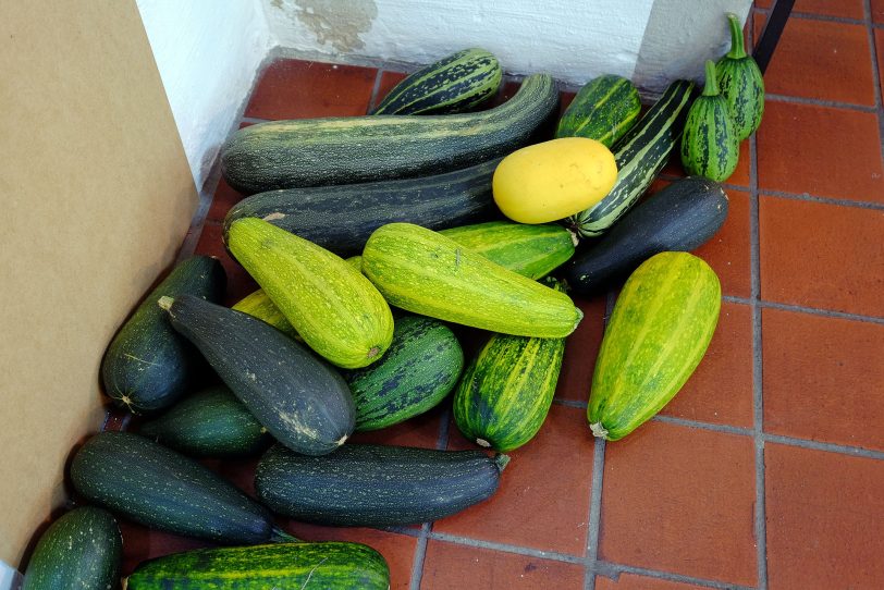 Der neue Früchteteppich ist in Arbeit.