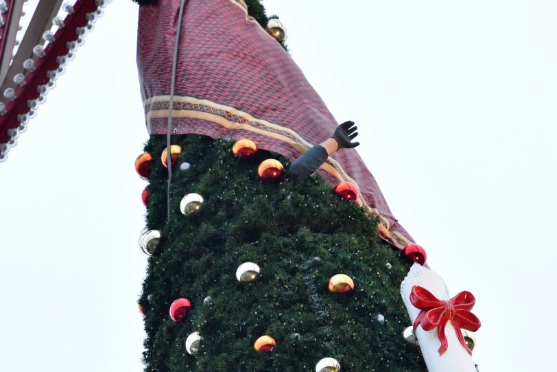 Eine helfende Hand aus dem Baum.