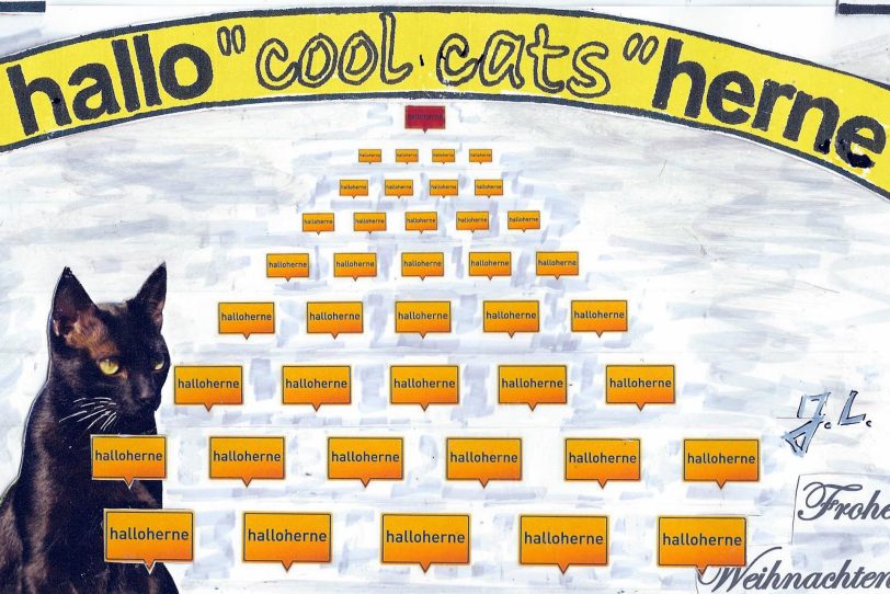 Die cool cats wünschen frohe Weihnachten.