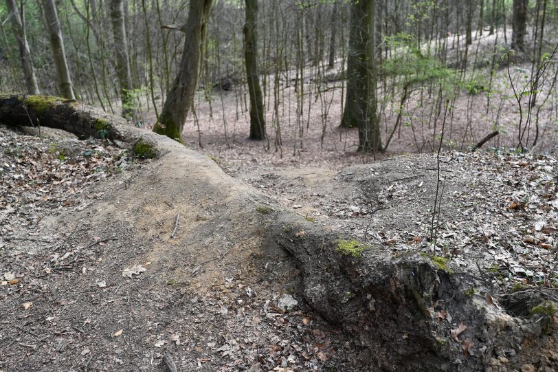 Präparierte Strecke in dem Waldgebiet hinter der Hügelstraße.