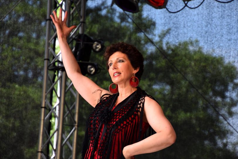 Das Kulturfestival im Schlosspark Strünkede.