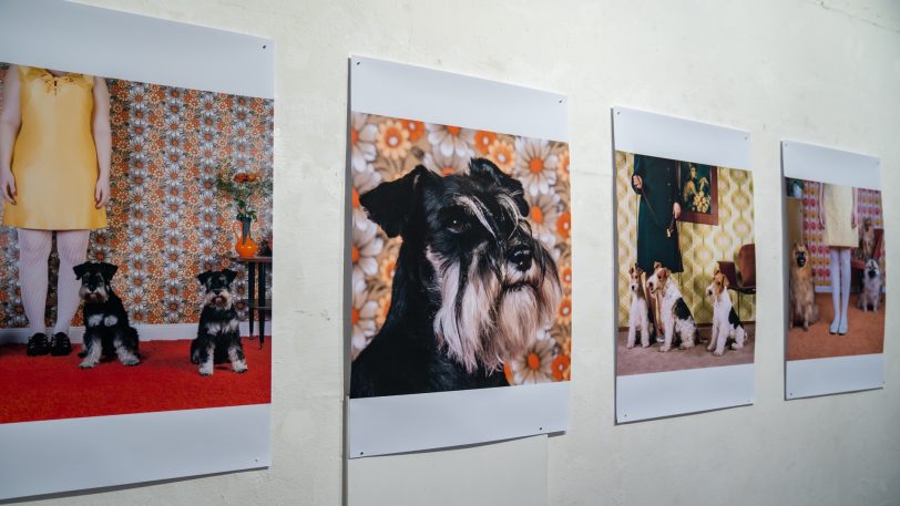 Die Ausstellung "Inszenierte Fotografien" von Patricia Eichert in der Künstlerzeche Unser Fritz, geplant vom 6. bis 28. März 2021.