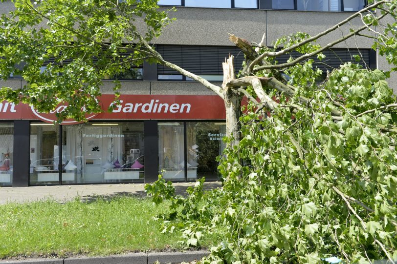 Sturmschäden in Herne.