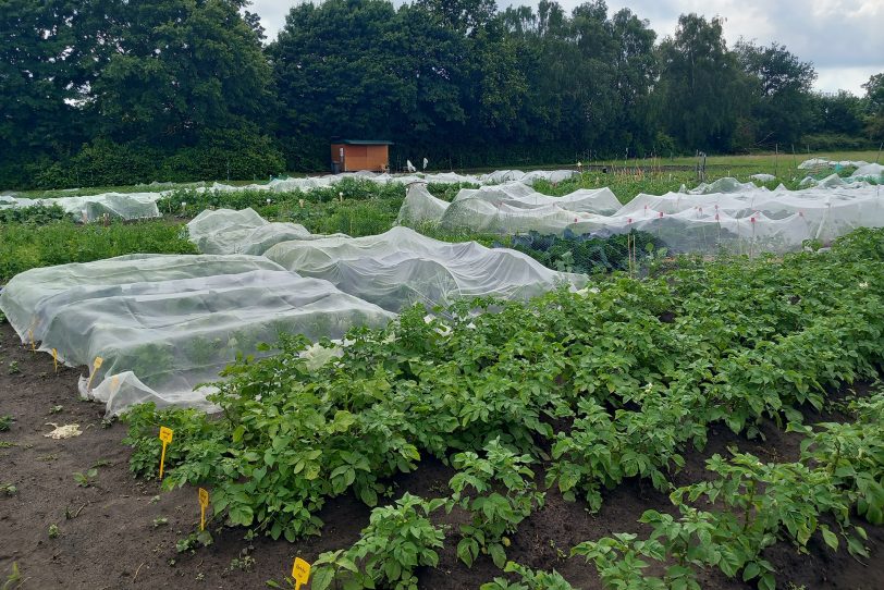 Die Mietgartensaison 2025 ist auch in Herne gestartet.