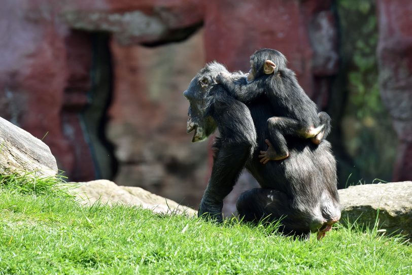 Tierwelt in der Zoom Erlebnis-Welt.