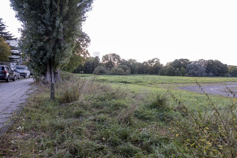 Viel Freifläche: Das Freigelände zwischen der Straße Lackmannshof und der Forellstraße im Stadtteil Baukau.