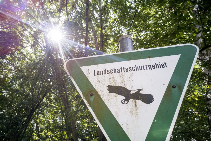 Wie nehmen Bürger die Natur und mentale Gesundheit in Herne wahr? Aufschlüsse soll eine Umfrage der Stadt bringen (Symbolbild).