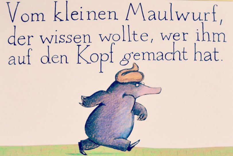 Der kleine Maulwurf will wissen, wer ihm auf den Kopf gemacht hat.