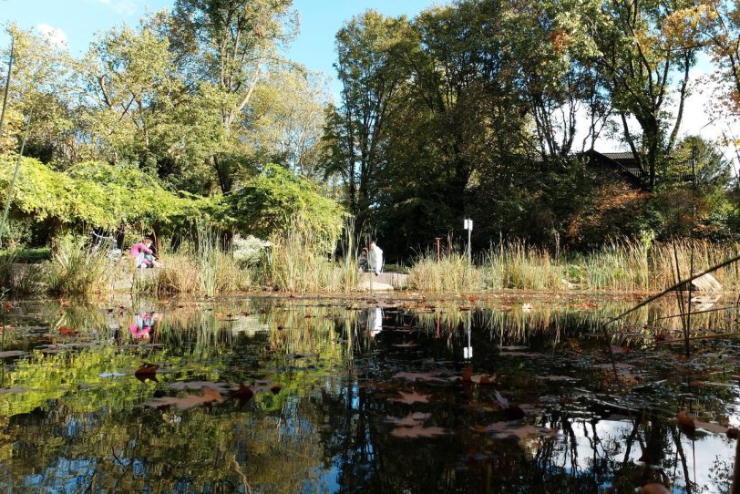 Herbst im Eickeler Stadtpark