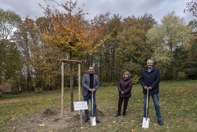 Udo Sobieski, Maria Reinke und Bernd Schröder neben dem neu eingepflanzten Eisenholzbaum.