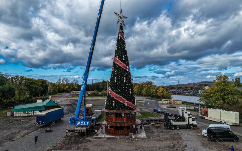 Er steht: Der Baum des Cranger Weihnachtszaubers am Donnerstag (23.10.2025) nach dem fertigen Aufbau. Der Weihnachtszauber startet am Donnerstag, 20. November 2025.