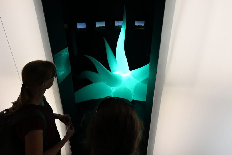 Lichtinstallationen in der Ausstellung