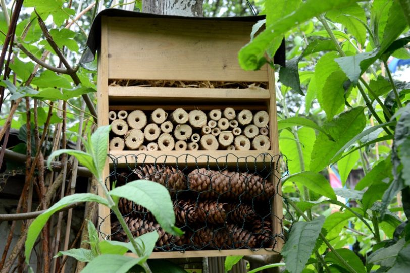 Offene Gartenpforte bei Anke Bolsmann (Archivfoto).