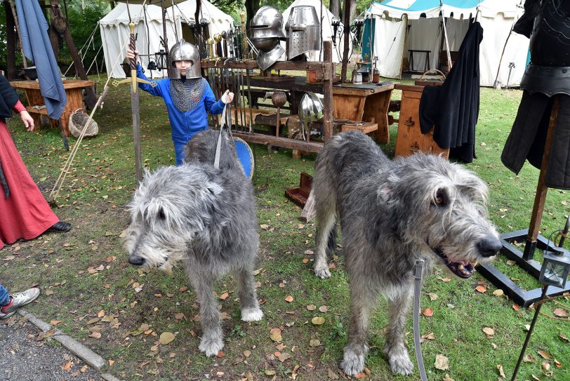 Mittelaltermarkt im Strünkeder Park.