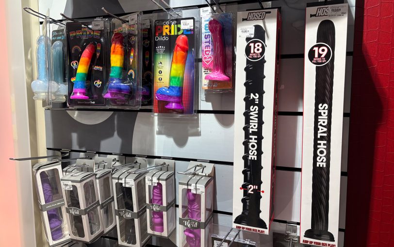 Im Erotikmarkt EGO an der Dorstener Straße gibt es zahlreiche Sextoys, sexy Kleidung und mehr.