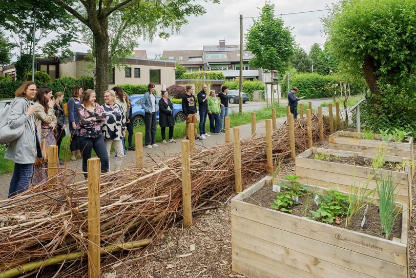 Teilnehmende des Schulnetzwerks „Bildung für nachhaltige Entwicklung“ (BNE) haben das gemeinsame Urban-Gardening-Projekt der Kita Löwenzahn und der Erich Fried Gesamtschule besucht.