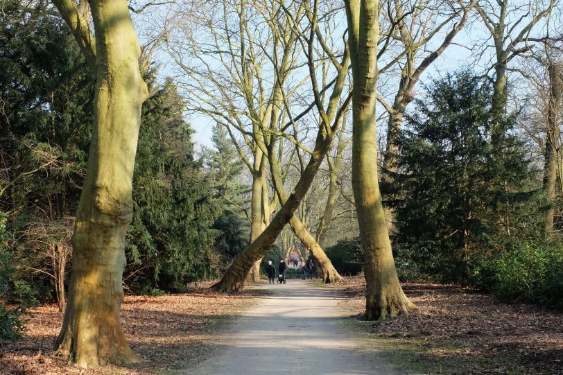 Das Buch thematisiert Altstädten des Ruhrgebiets. (Symbolbild des Schlosspark Herten).