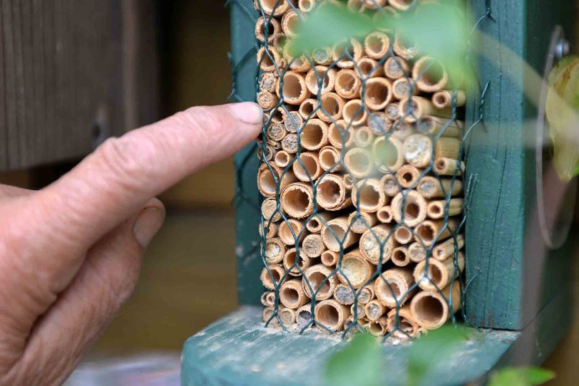 Ein Insekten-Hotel im BUND-Garten an der Vinckestraße (Symbolfoto).