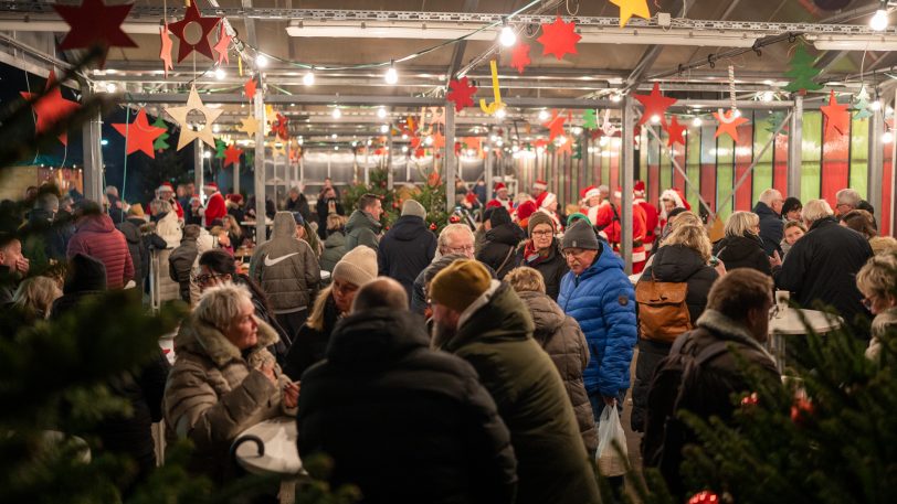 Der wewole-Adventsmarkt auf dem Gelände der Gärtnerei und Floristik an der Nordstraße lud an zwei Tagen zum Stöbern nach Geschenkideen ein.