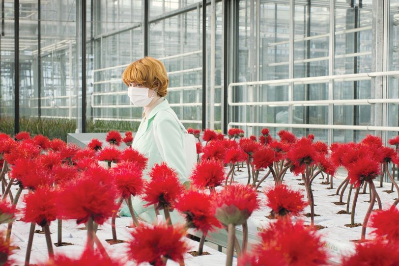 Little Joe – Glück ist ein Geschäft: Die Biologin Alice Wooday (Emily Beecham) am Arbeitsplatz.