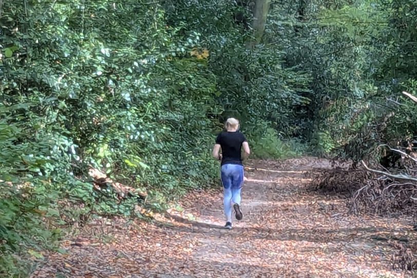 Herbstlicher Spaziergang im Gysenberg-Wald. Einzelne Jogger, Spaziergänger mit und ohne Hund, mit Pferd oder Kinderwagen genießen im Oktober 2024 eine kleine Auszeit vom hektischen Alltag.