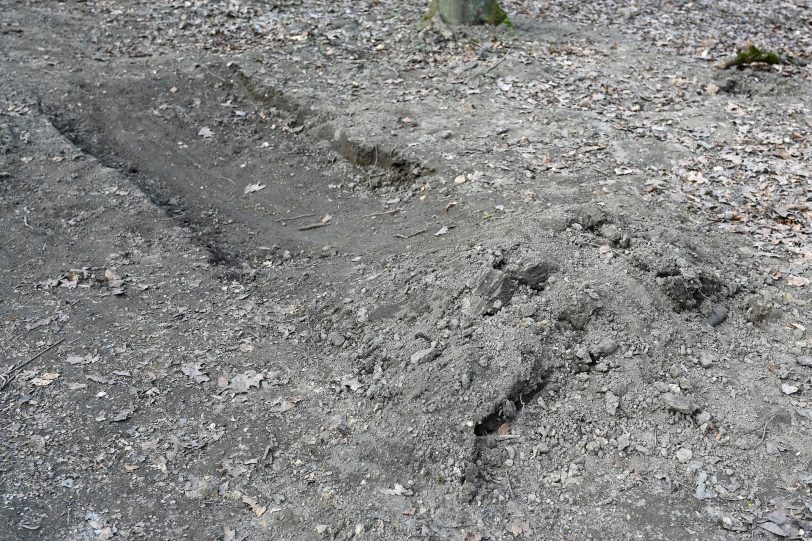 Präparierte Strecke in dem Waldgebiet hinter der Hügelstraße.